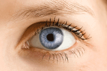 eye image