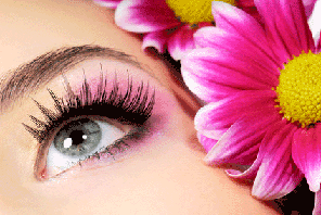 eye image